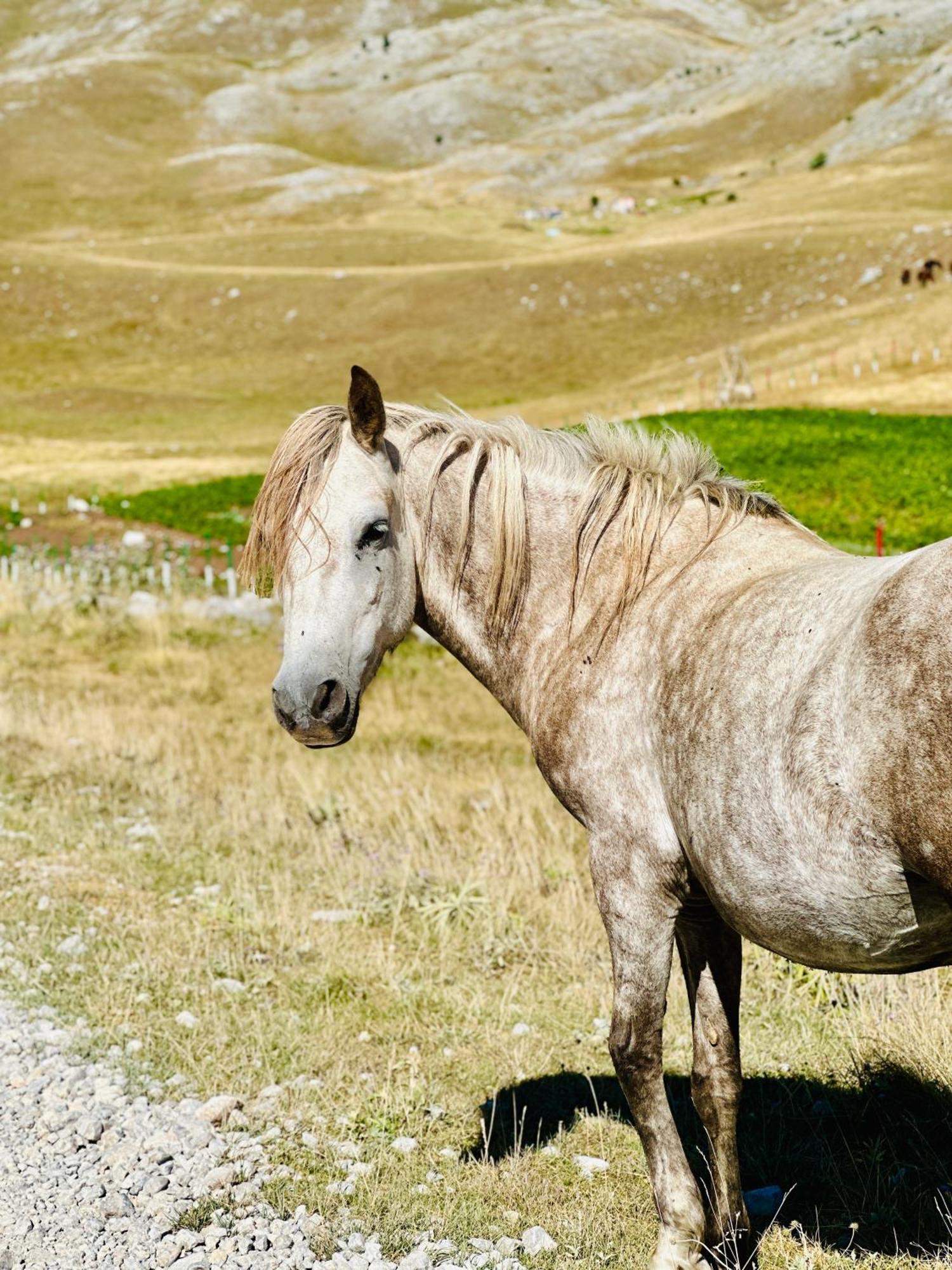 Bobica Konak - Lukomir ภายนอก รูปภาพ