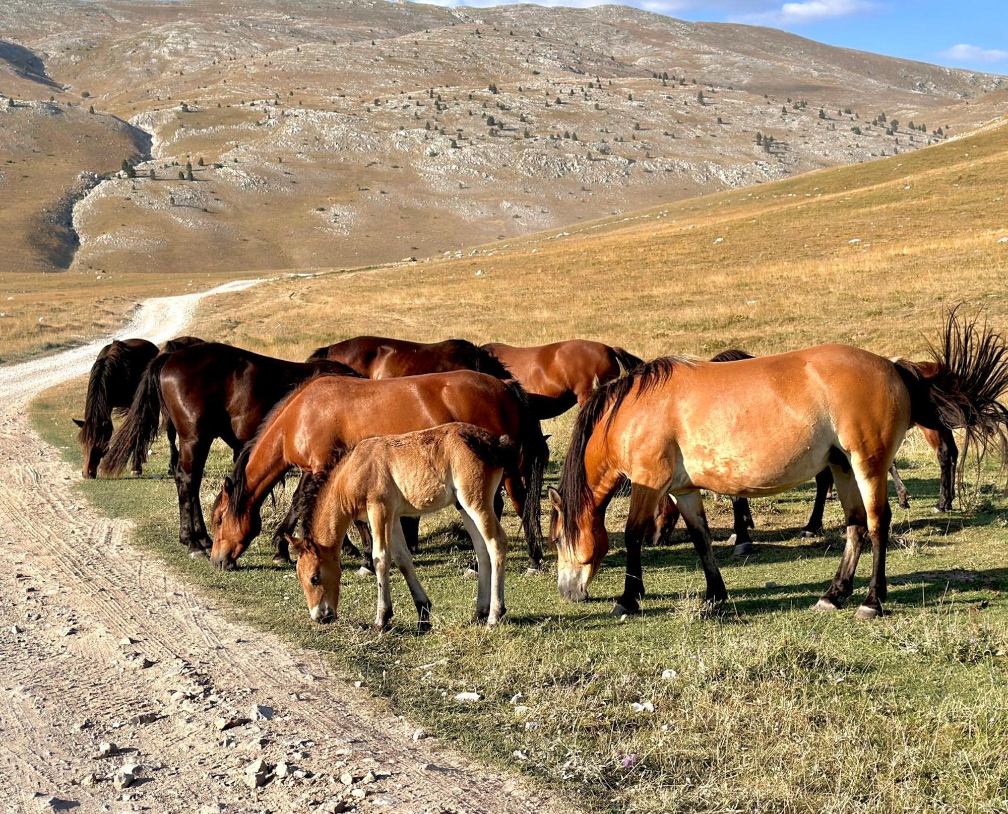 Bobica Konak - Lukomir ภายนอก รูปภาพ